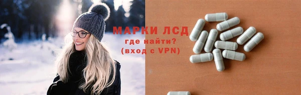 стаф Покачи